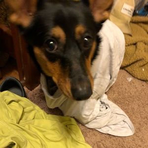 Meet your Posher, Steven